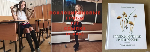 COCAINE Богородицк